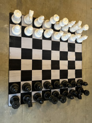 IMG 0554 1738013303.jpg Giant Chess